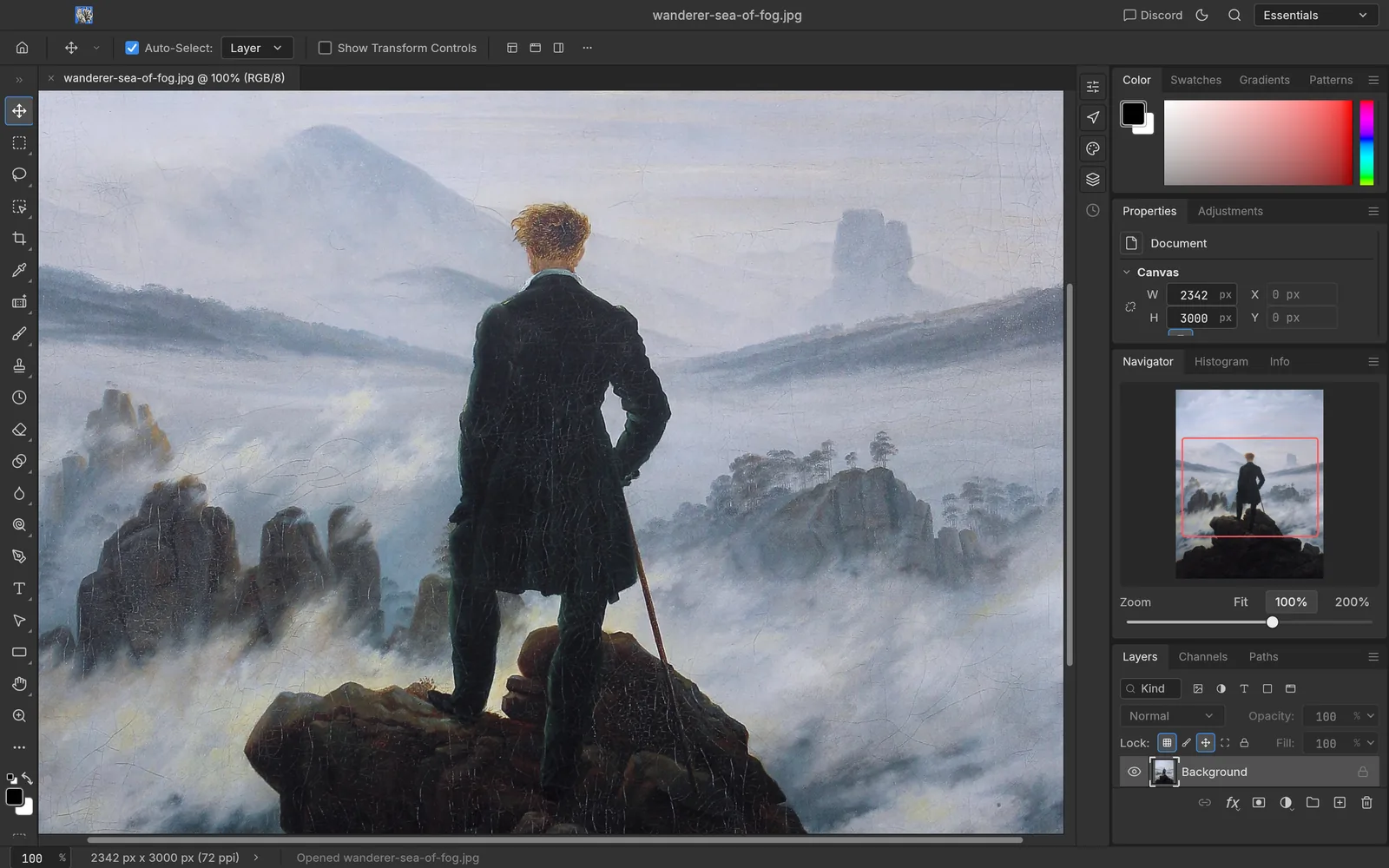 The image at 100 % zoom, with the Navigator panel's red view box and zoom slider